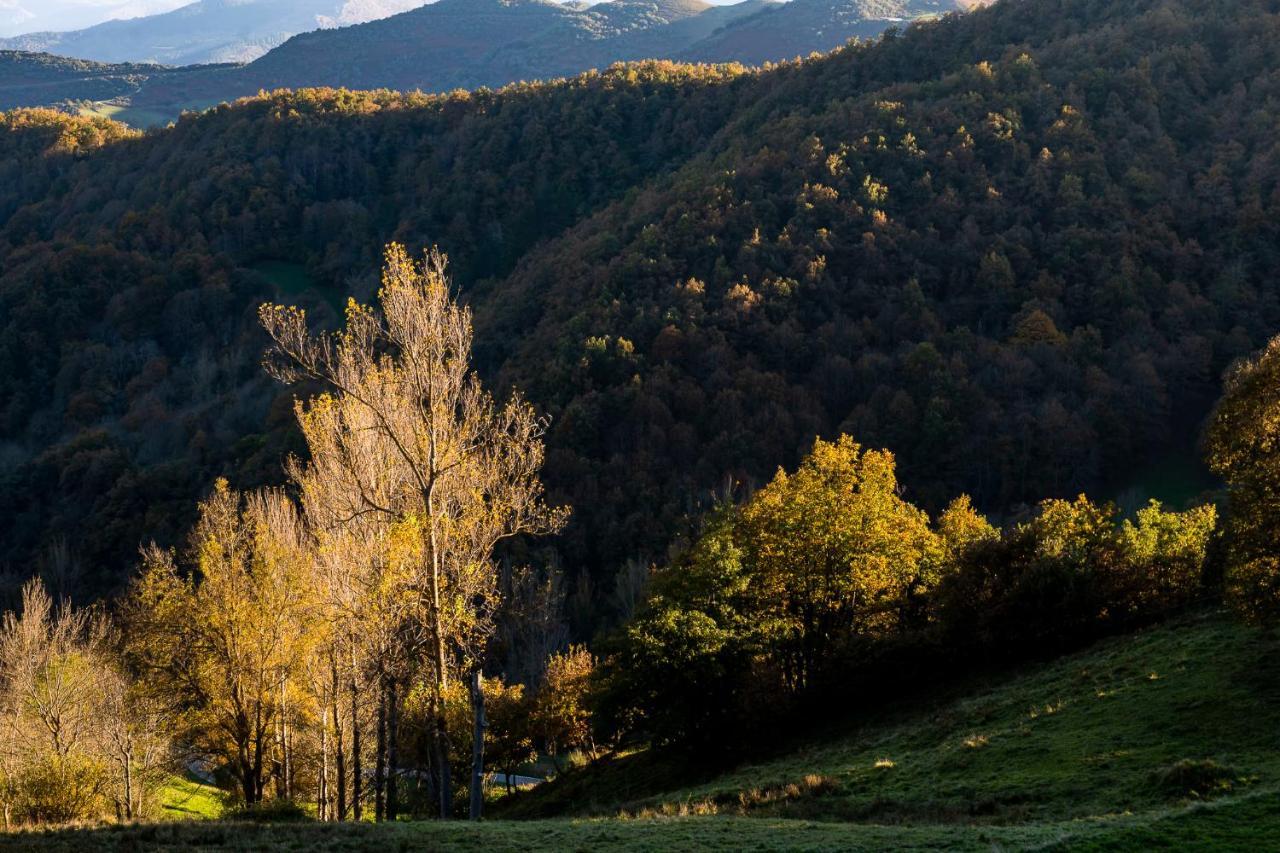 Apartamentos Los Picos De Europa Colio Екстер'єр фото